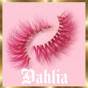 Dahlia